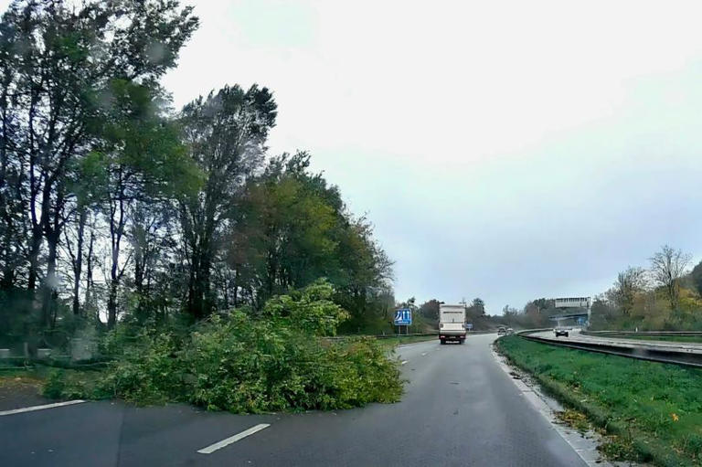 Roads blocked and thousands without power as Storm Boelo batters region ...