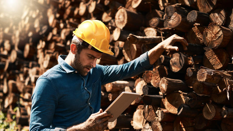 A lumber mill offers year-round work after years of seasonal pay. The ...