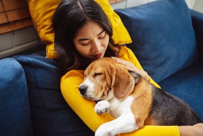 犬の『突然死』を招く絶対NG行為5選 飼い主が見直すべき習慣や予防策まで