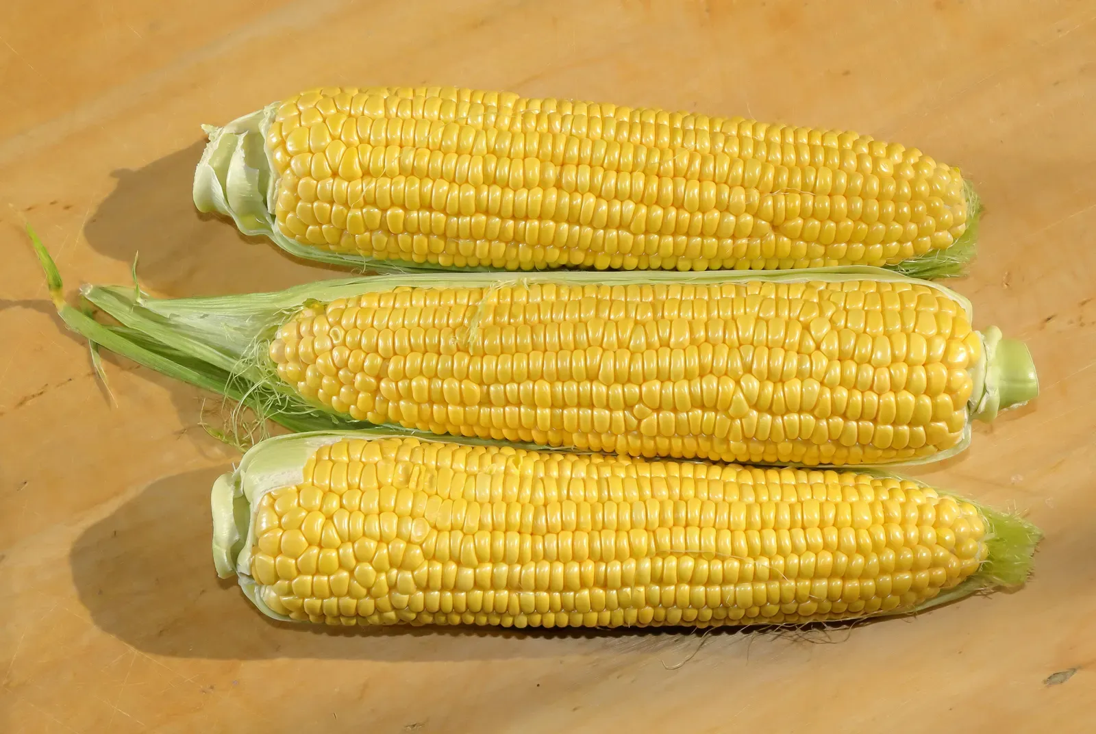 9 sweet corn rules Midwesterners live by