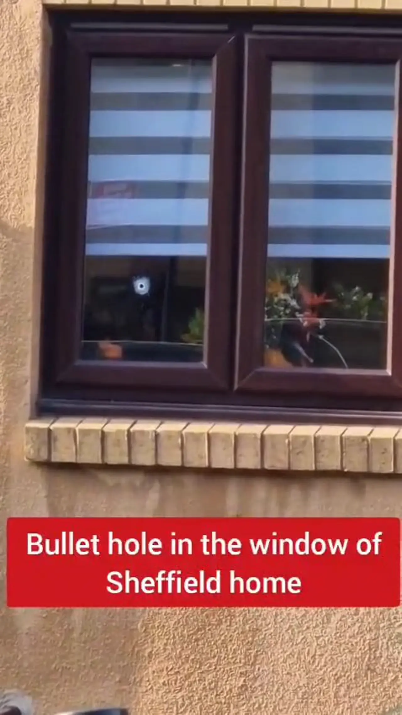 Bullet hole in the window of Sheffield home