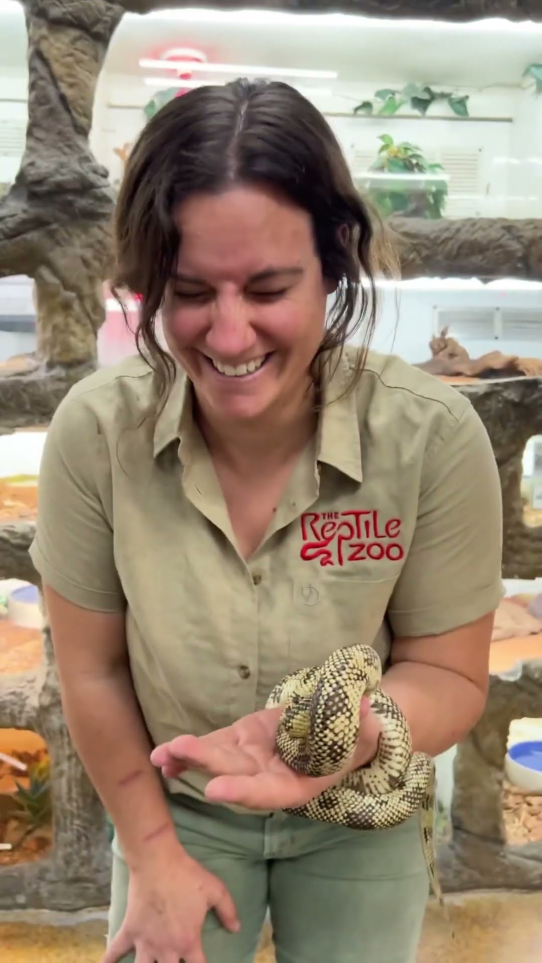 Florida kingsnake mistakes handler hand for food in feeding accident