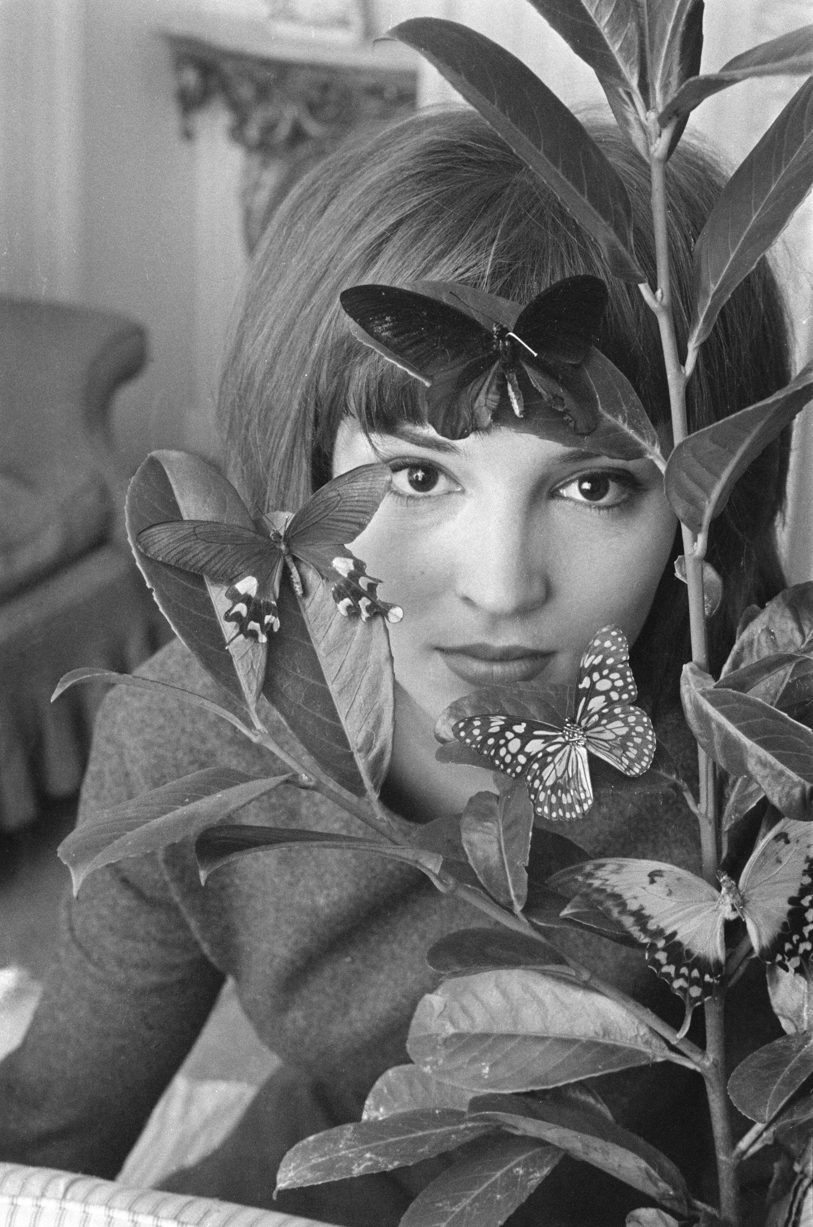 Talitha Getty : le destin tragique de la pionnière du bohème chic qui ...
