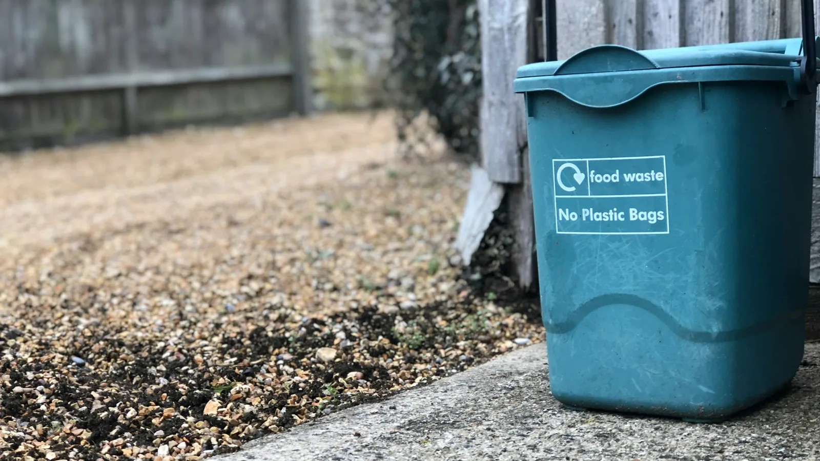 Composting in an apartment: 3 methods that work without a garden