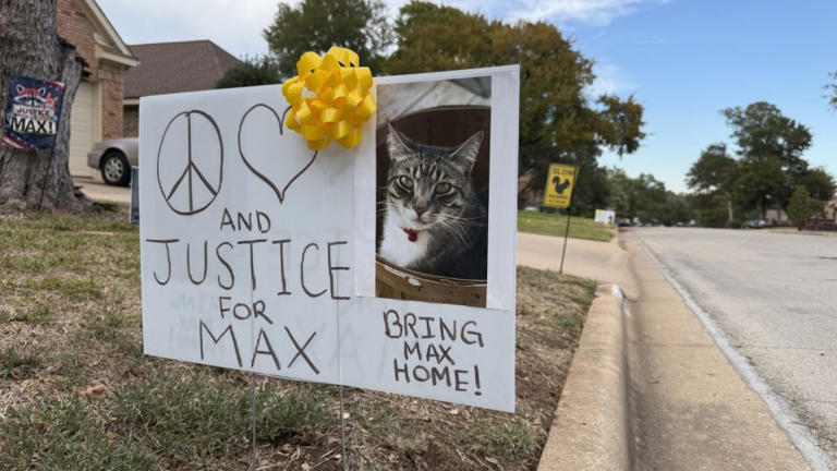 Texas family accuses neighbor of stealing, dumping cat 100 miles away