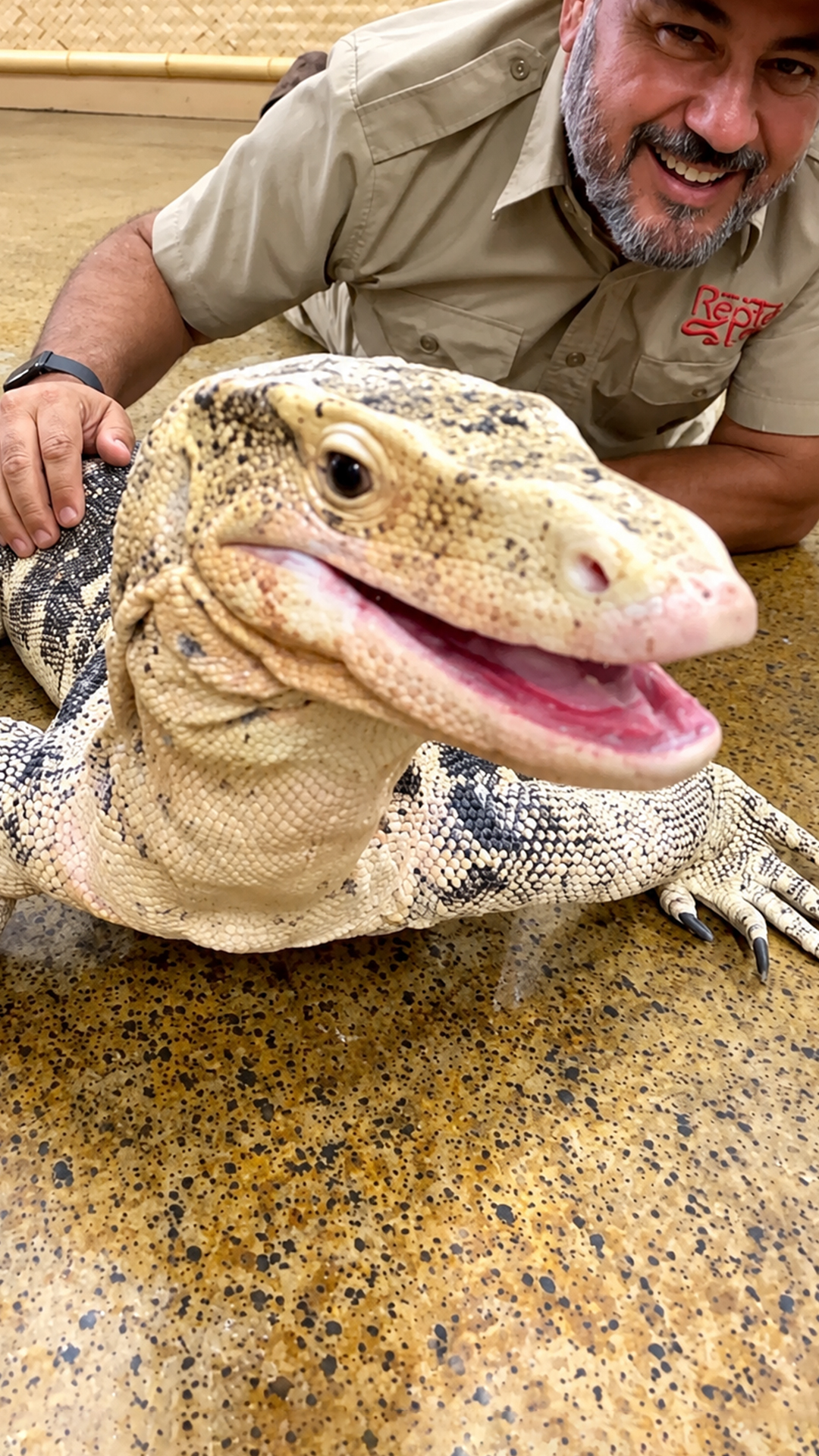 Giant water monitor lizard devours a crawdad with surprising ease