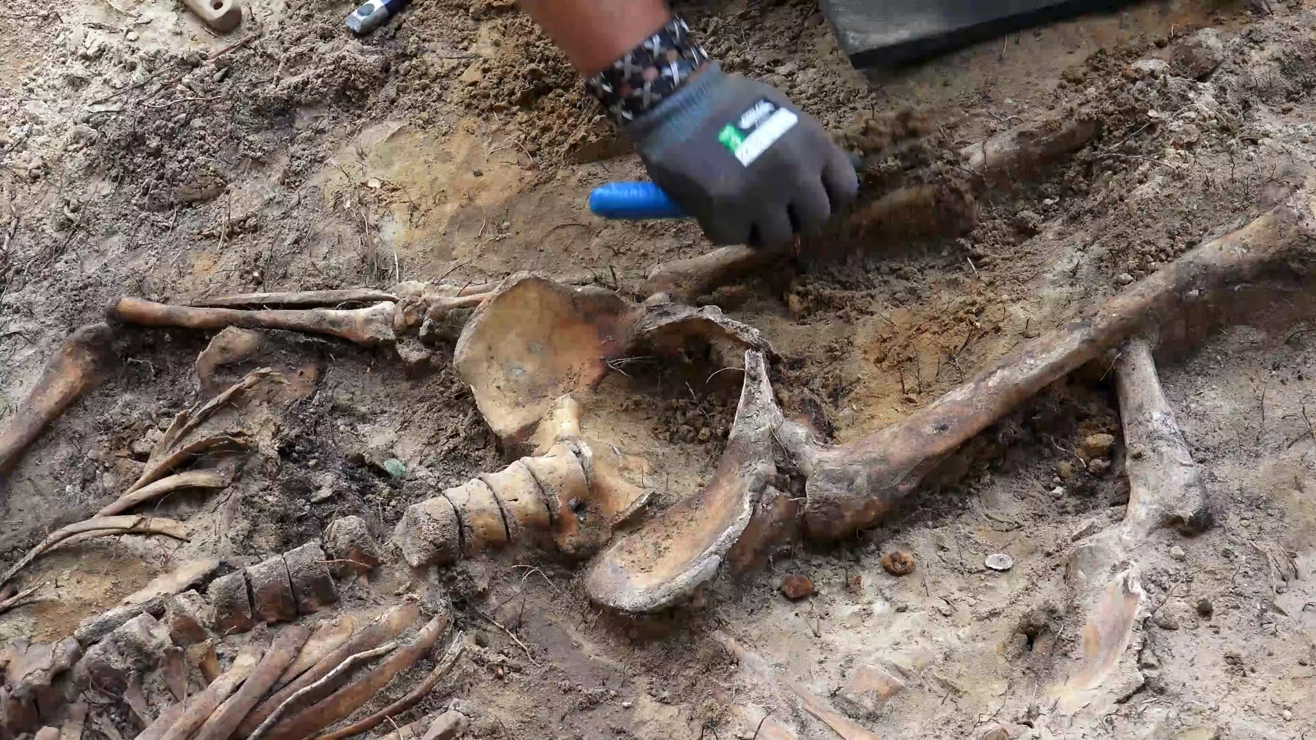 Hidden archive finds whose contents rewrote what we knew about the past