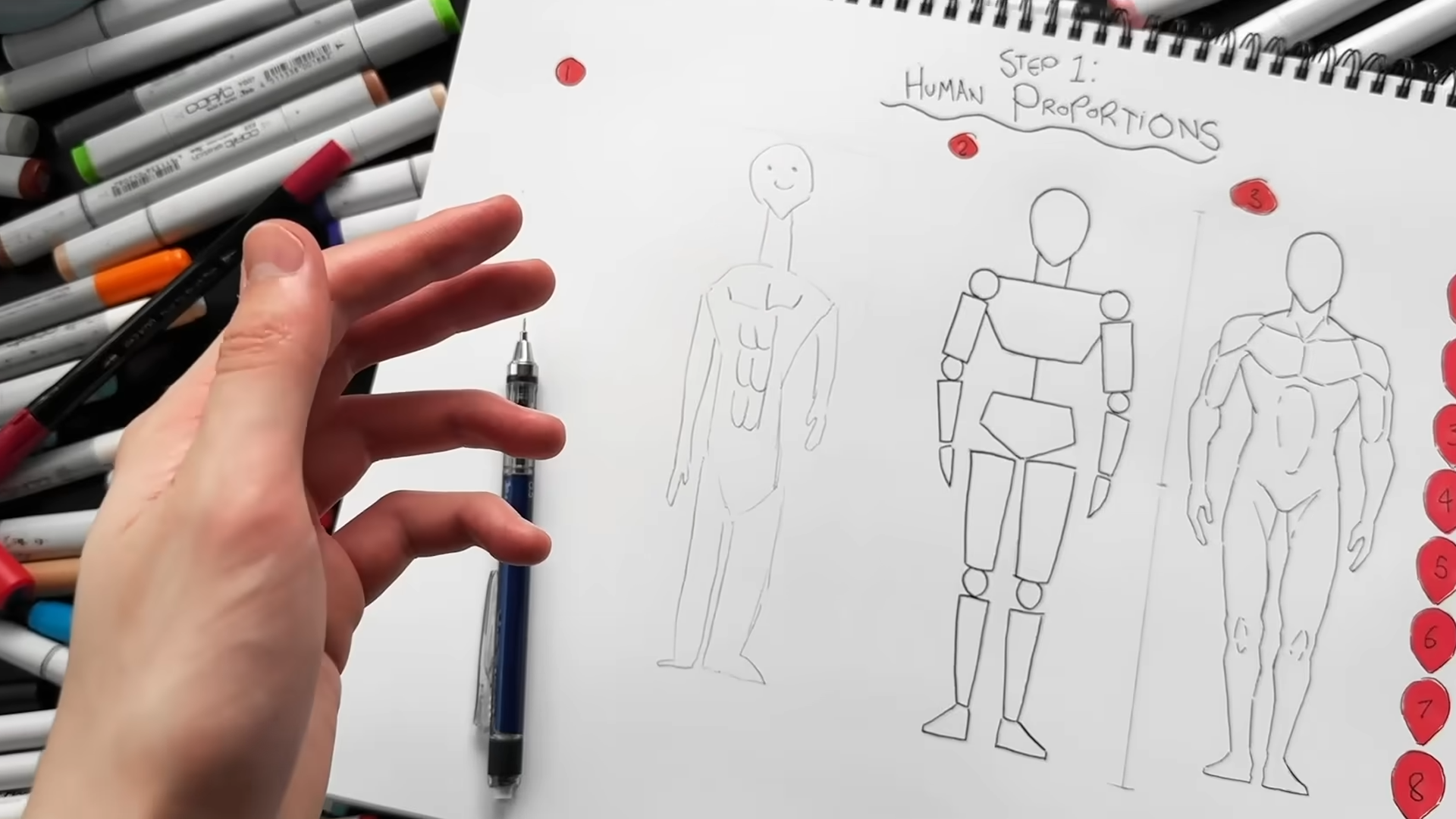 How do 3D shapes make learning anatomy easier?