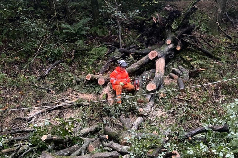Storm Boelo brings rail chaos as trees fall near Manchester and 'do not ...