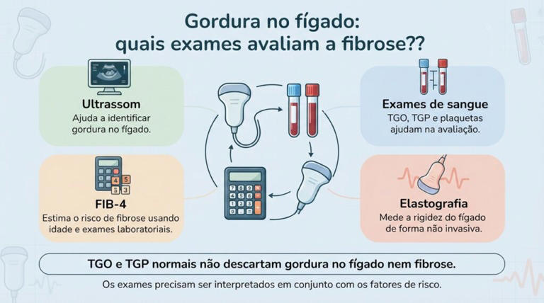 Quais exames avaliam a gordura no fígado e o risco de fibrose