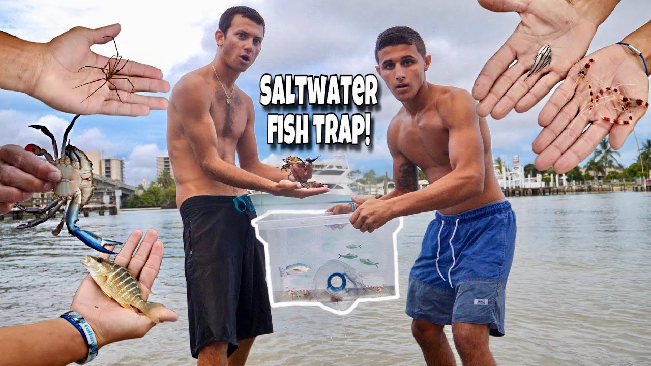Fish trap catches amazing aquarium fish and invertebrates!