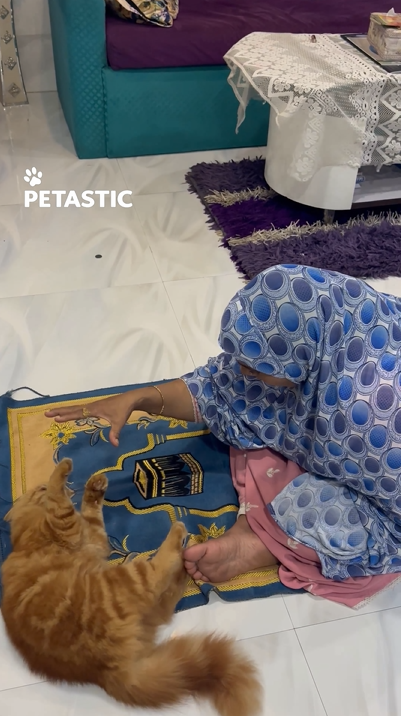 Unexpected affection: The surprising connection between a ginger cat ...