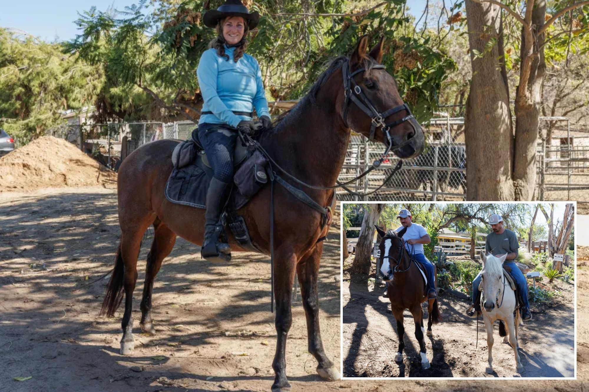 California horse town brings in maverick solution to 'extremely ...