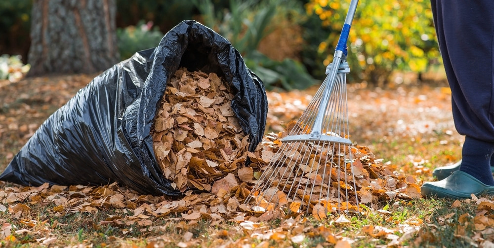 Brûler des feuilles mortes dans un brasero sur la terrasse : que ...