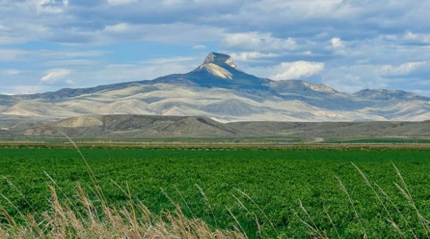 Heart Mountain: A story of Japanese American internment