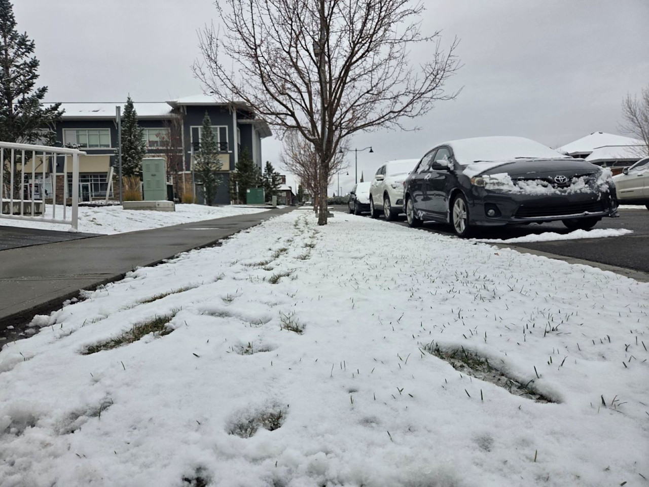 Photos: First autumn snowfall falls over major Canadian cities