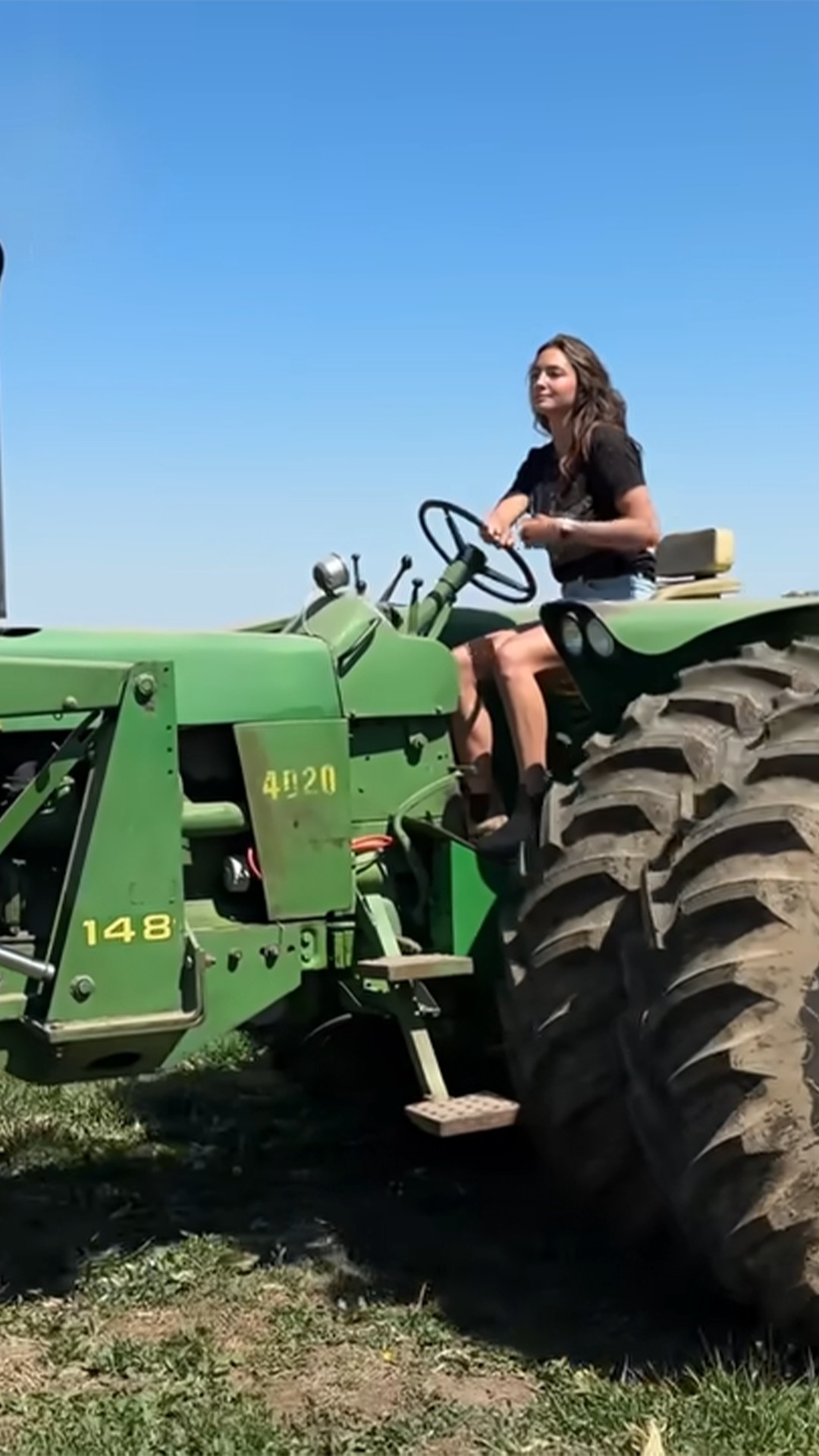 Old tractor working sweet corn patch