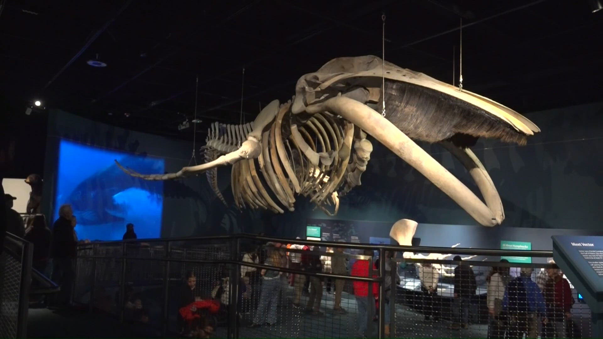 Maine State Museum reopens after six-year closure