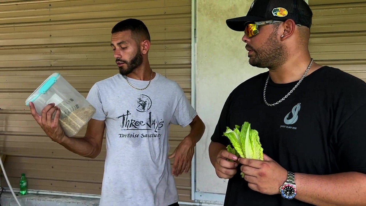 Joey Slay Em brings baby ducks home from Blake's Exotic Animal Ranch