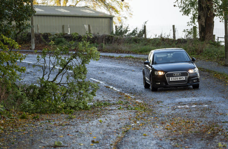 Man dead after being hit by falling tree in Storm Boelo