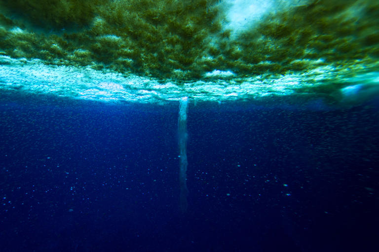 As it touches the seafloor, it kills whatever living thing it contacts ...