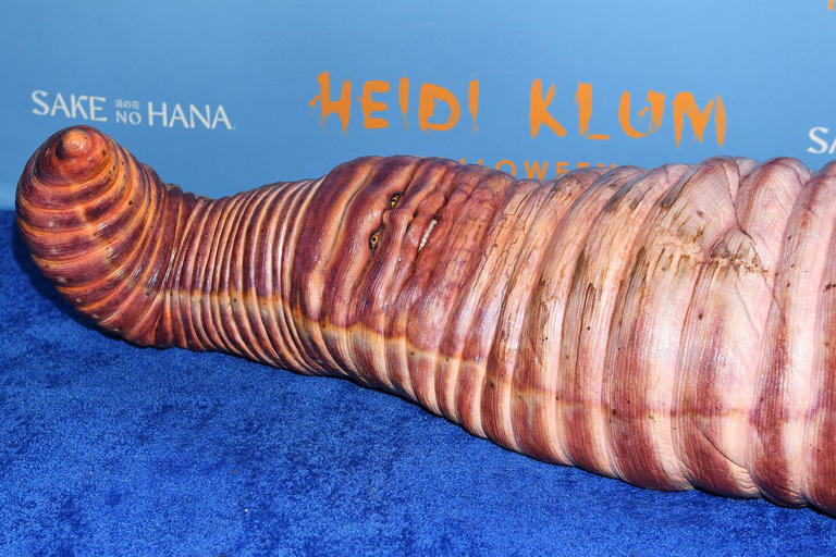 Queen of Halloween Heidi Klum teases costume with mysterious image