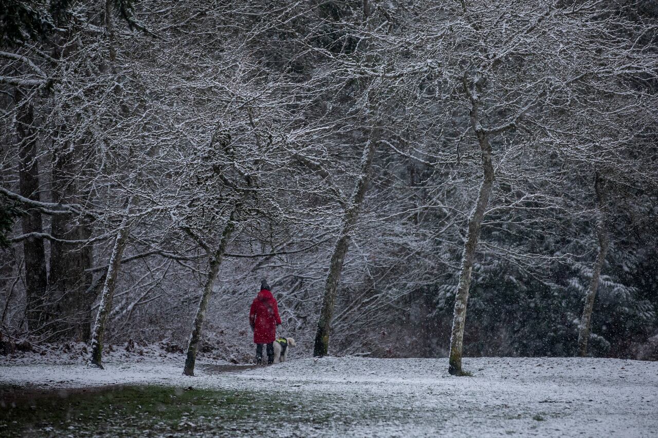High winds, early snow in Saskatchewan over the weekend