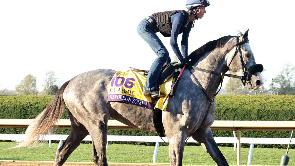 Exercise rider Emily Ellingwood perfect fit for classic contender ...