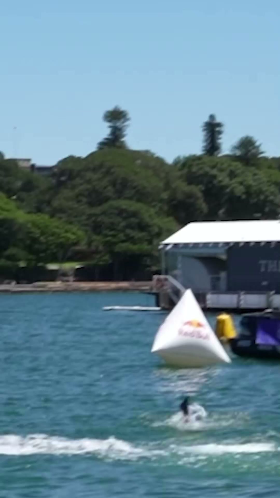 How much g-force do cliff divers take?