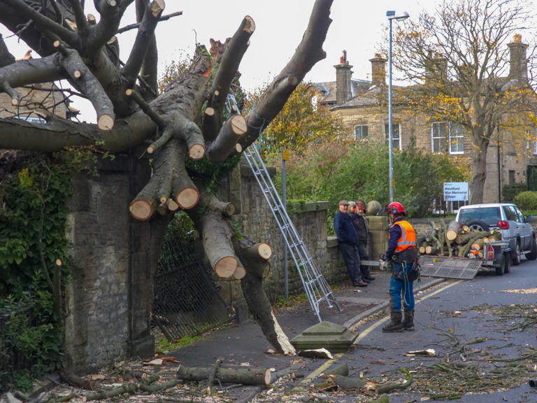 Driver, in 20s, becomes Storm Boelo’s second victim after tree crushes ...