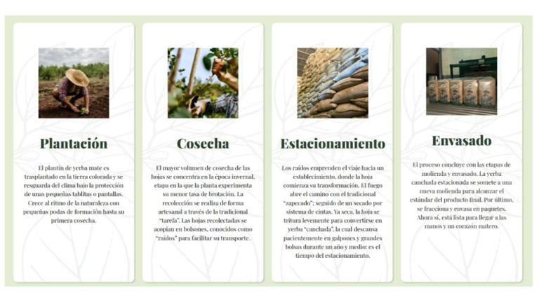 Ingrid Grudke lanzó su propia marca de yerba mate: cómo es el producto ...