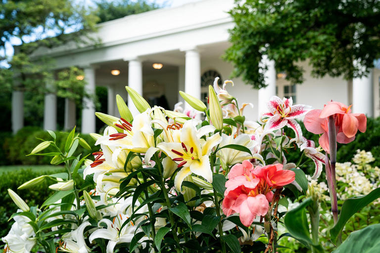 Bill Clinton compares Trump’s Rose Garden redesign to 'Liberace’s bathroom'