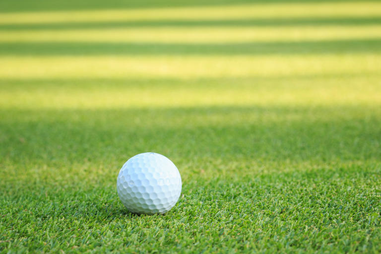 A golf ball with dimples flies roughly twice as far as a smooth one and ...