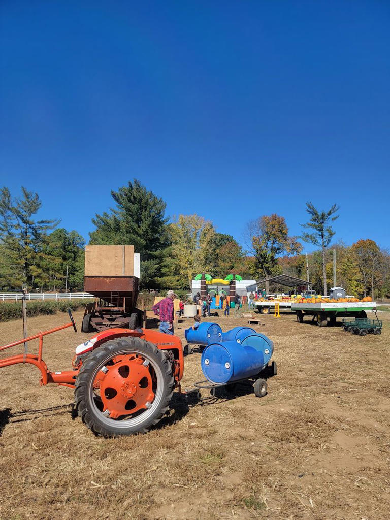 8 pick-your-own farms near St. Louis where a few dollars can fill your ...