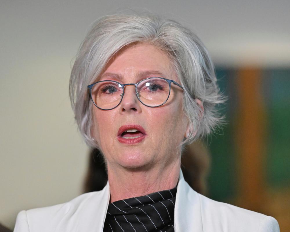 Helen Haines's first words after alleged attack were about safety of staff and gratitude to bystanders, MP reveals