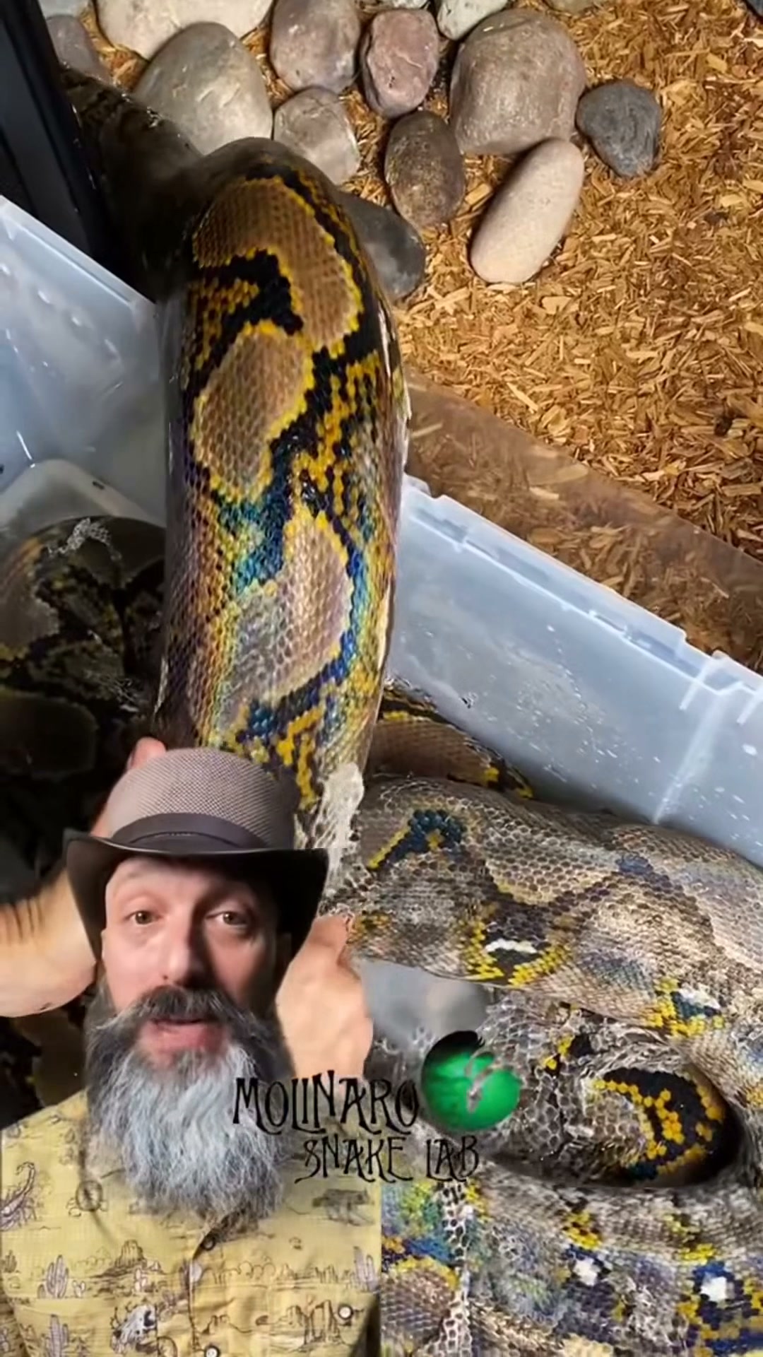 Let's clean this snake enclosure!