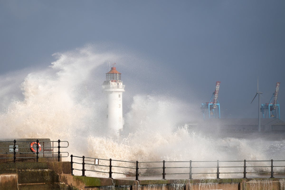 Man killed by falling tree as Storm Boelo batters UK with 84mph winds