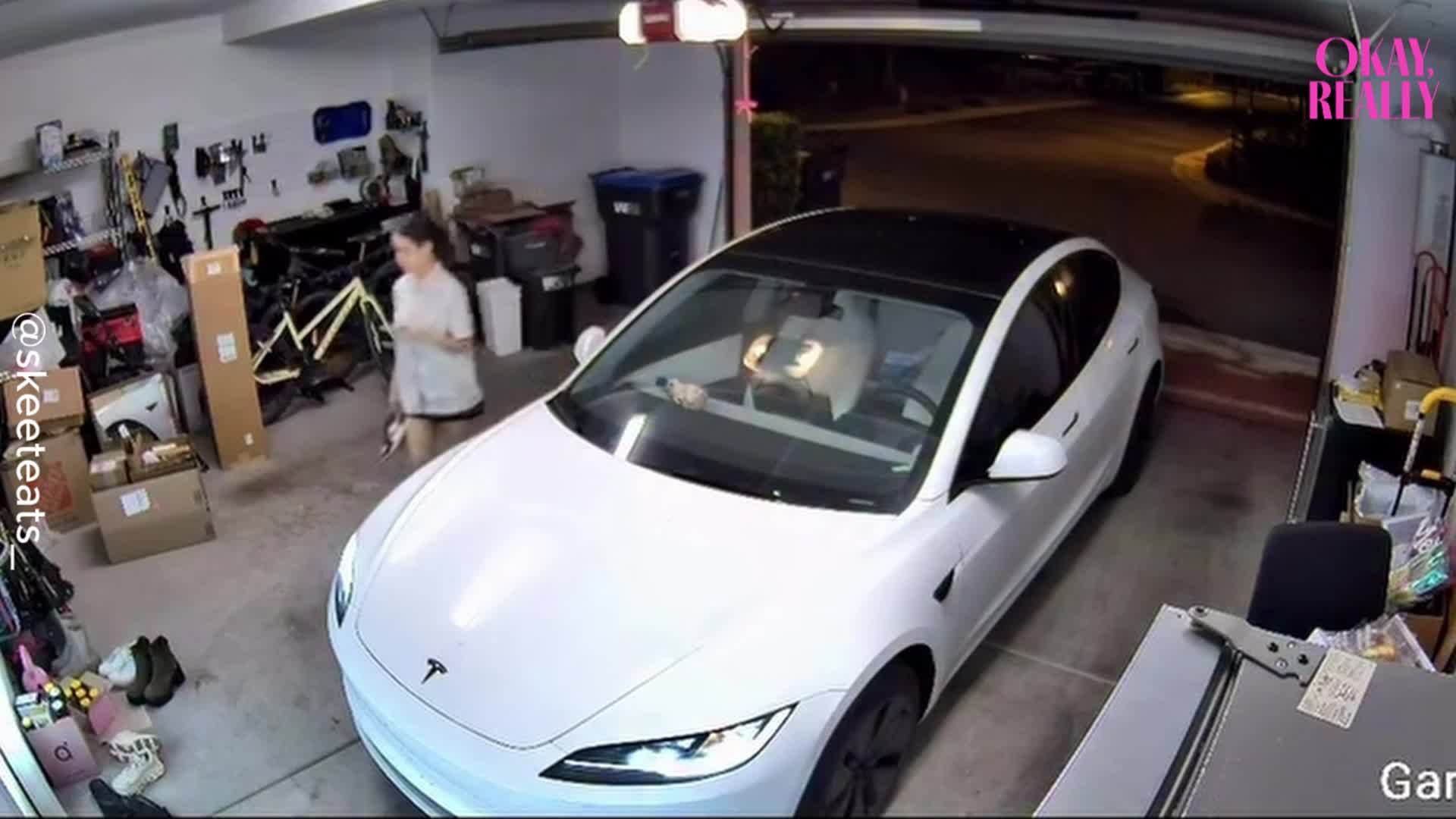 California woman gets a scare beside parked Tesla as garage CCTV ...