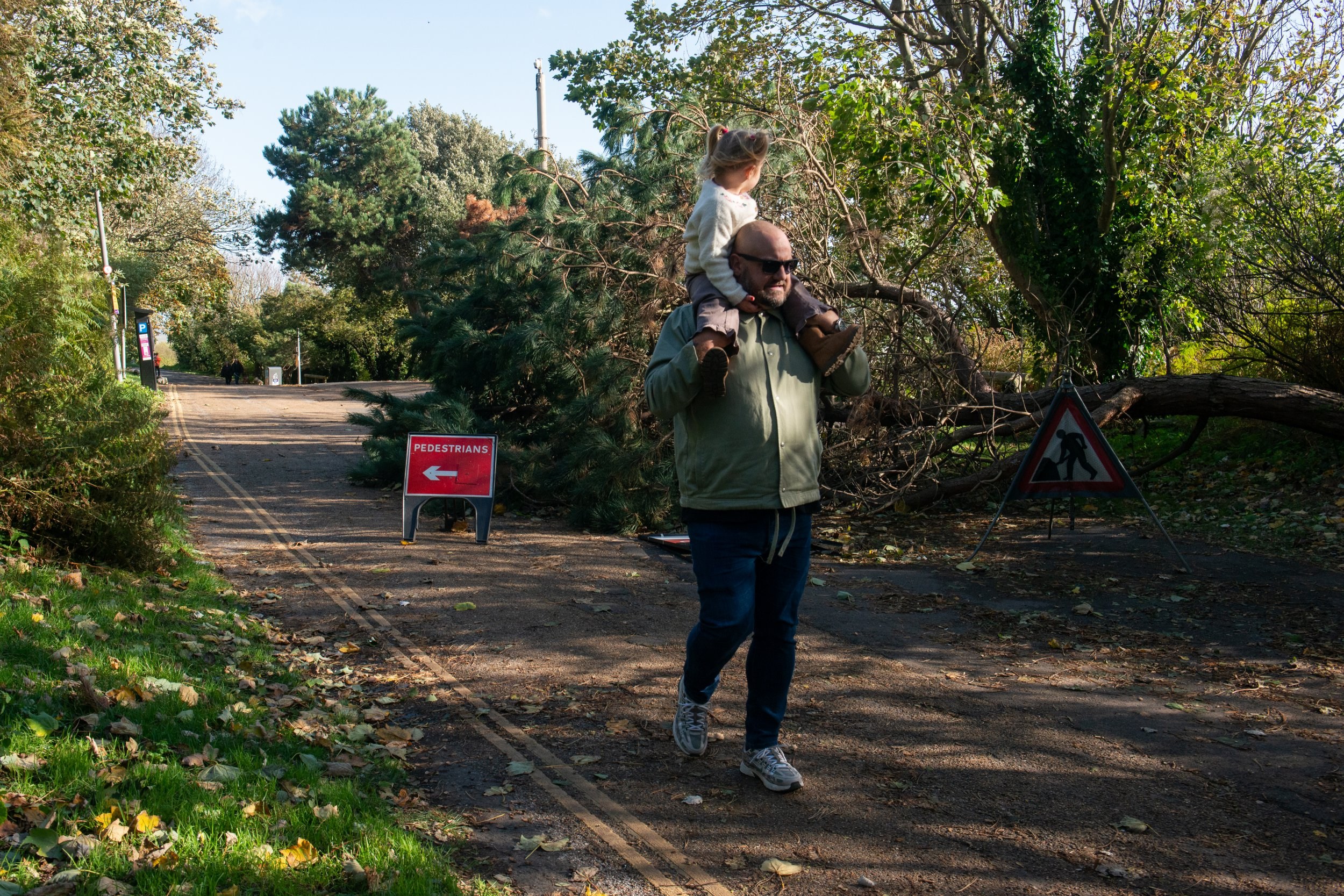 Man, in 60s, killed by falling tree as Storm Boelo turns deadly