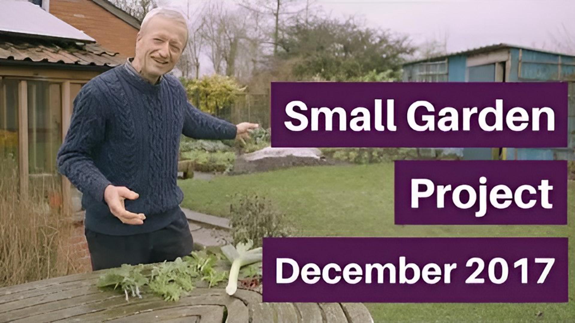 Small garden (2) at winter solstice: the harvests and my plans for 2018