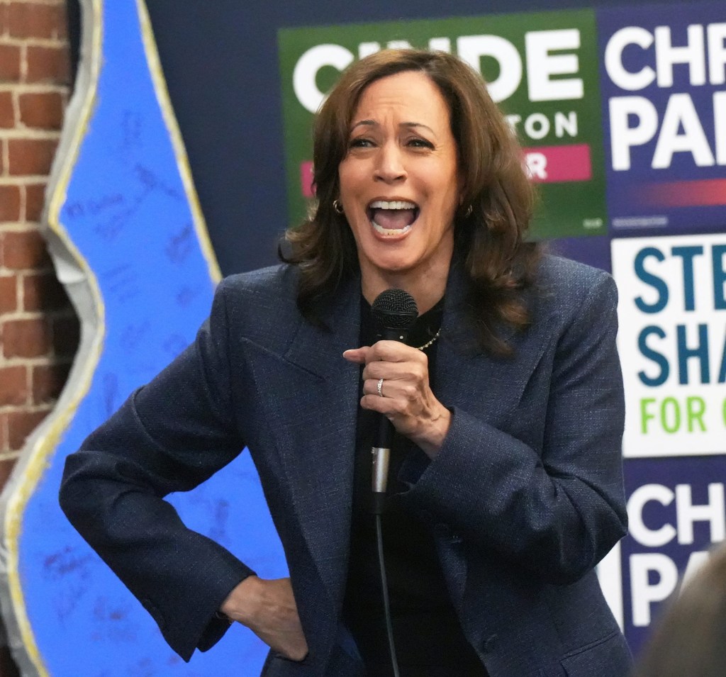 Kamala Harris jokes about cursing out TV in rage at Trump after 2024 ...