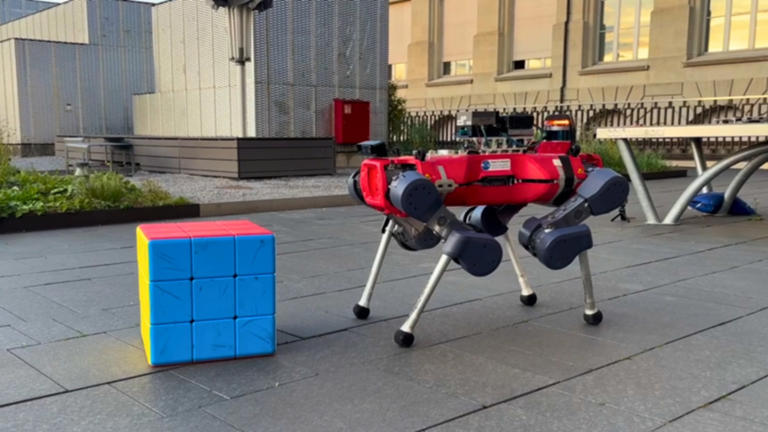Four-legged ANYmal solves giant Rubik’s Cube with only its feet in 30 steps