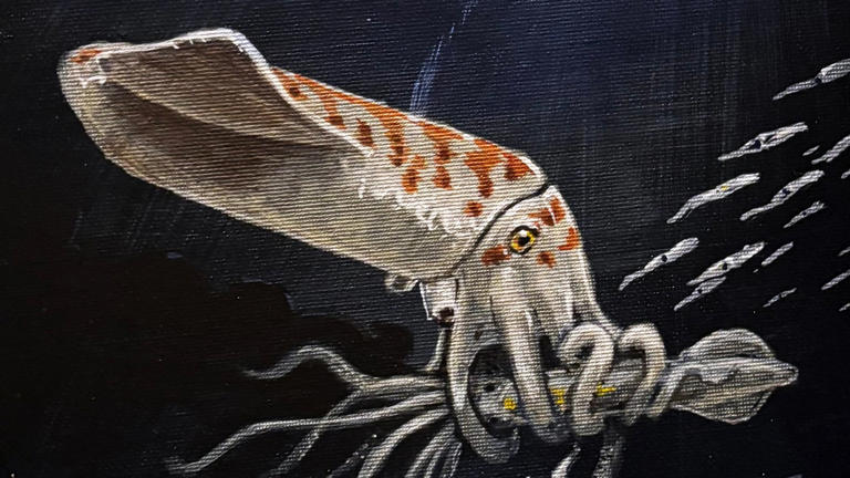 Scientists found one of the 'chunkiest' squid-like creatures ever known