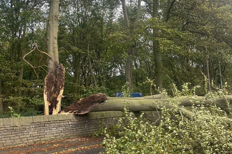 Roads blocked and thousands without power as Storm Boelo batters region ...