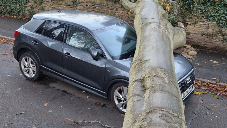 Tree crushes car on Sheffield road and power outages reported as Storm ...