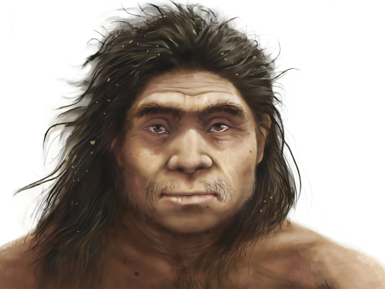 Ancient proteins offer new clues to what Denisovans looked like
