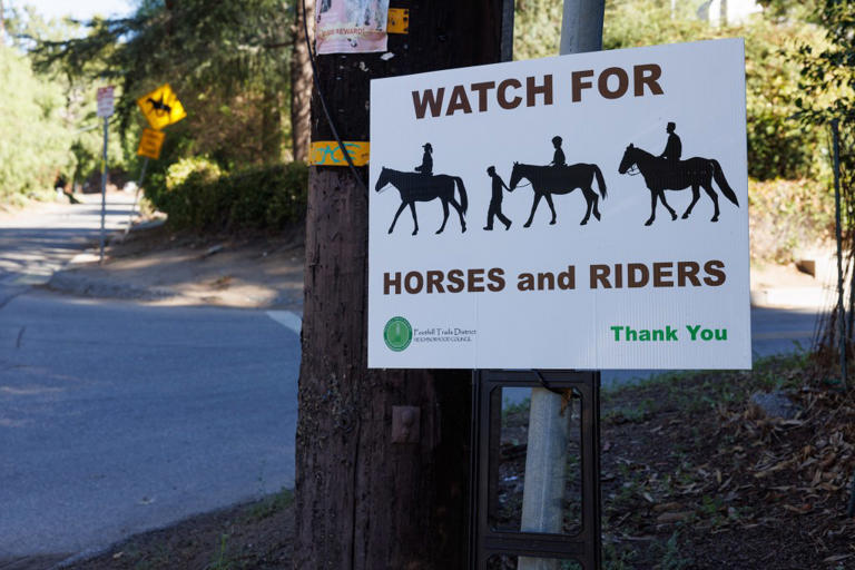 California horse town brings in maverick solution to extremely ...