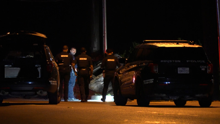 36-year-old DJ killed after being ejected from car in rollover crash, Houston police say