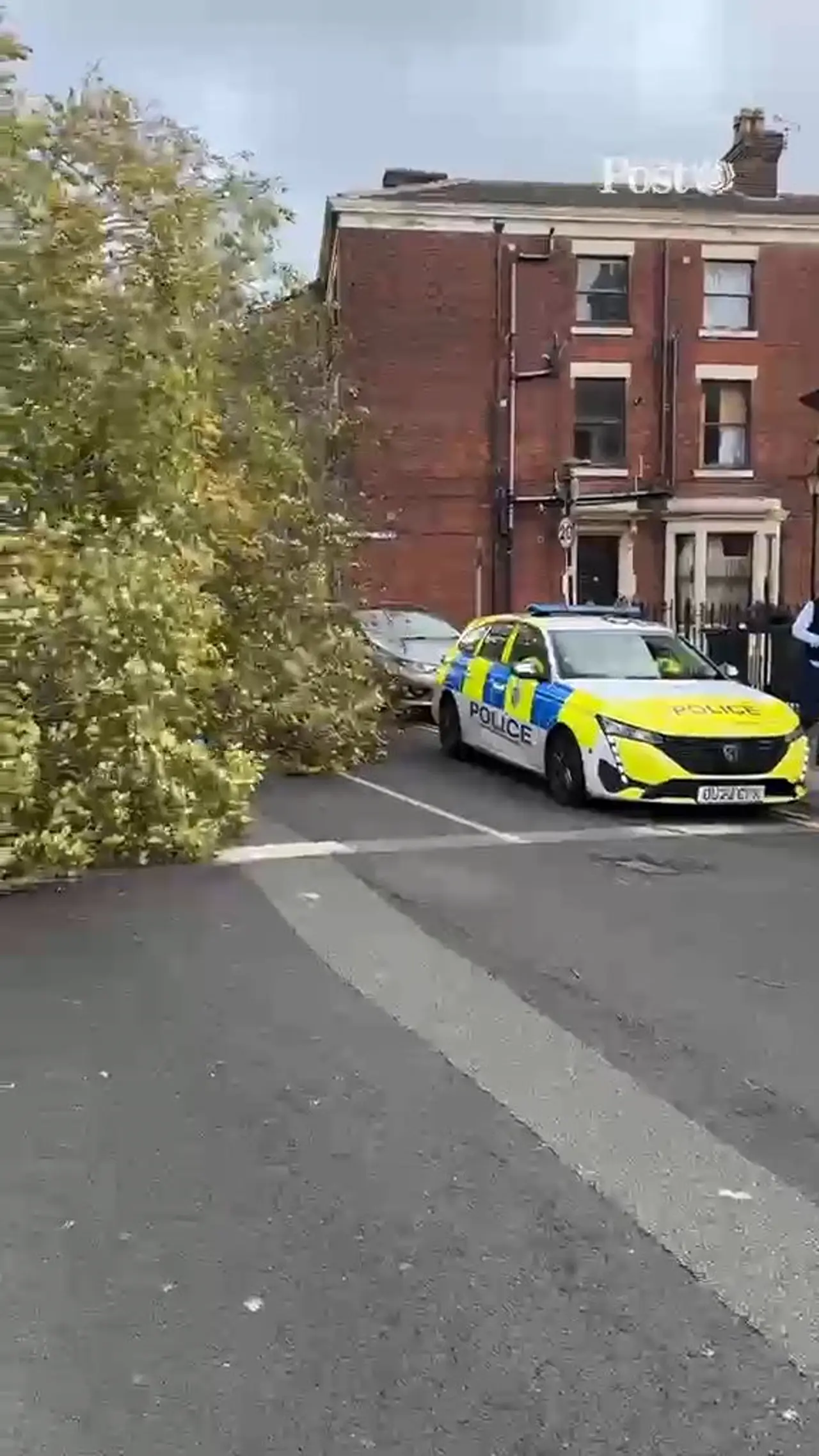 Fishergate Hill tree collapse amid Storm Boelo