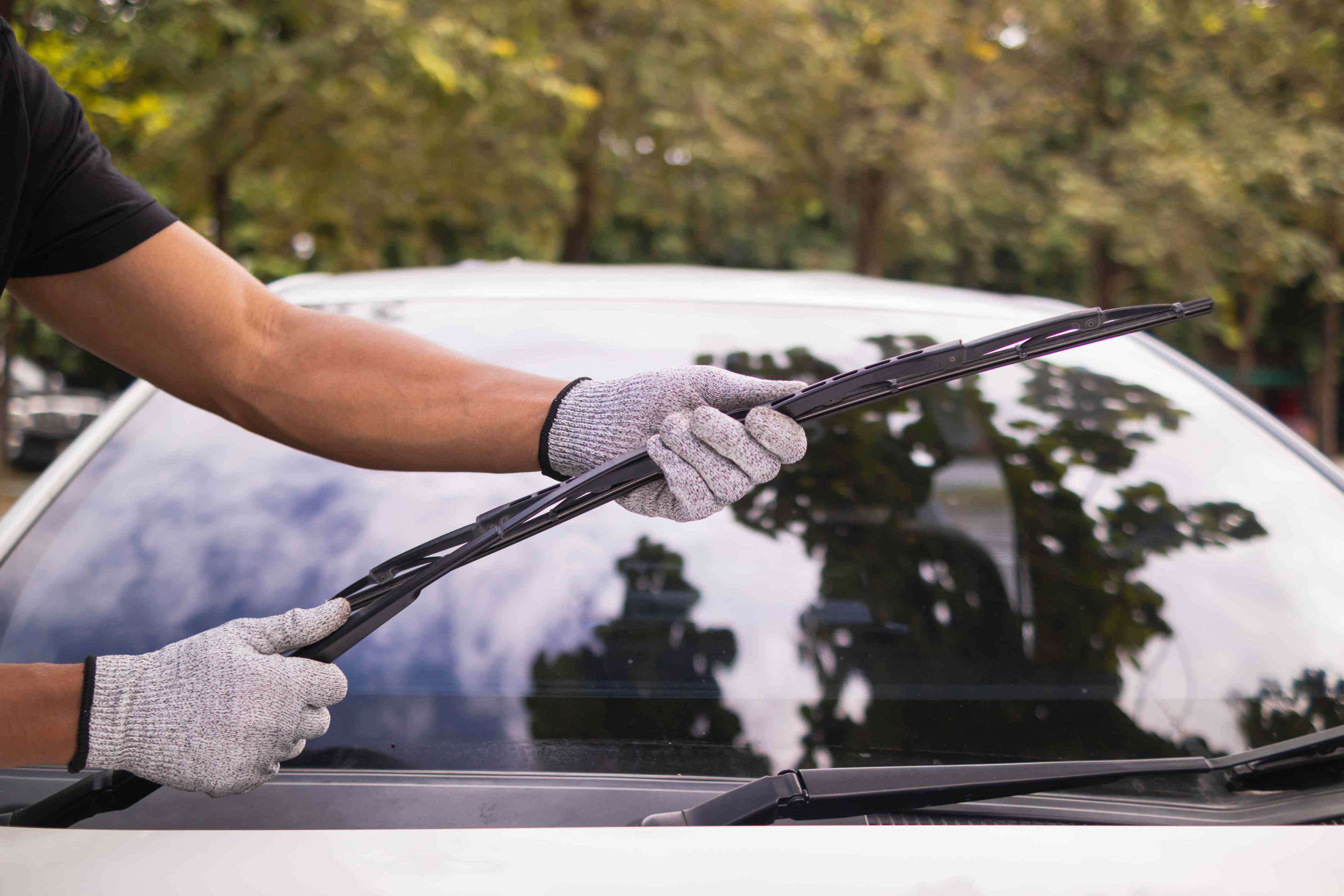 How often should you replace your windshield wipers?